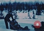 Image of dog sled Alaska USA, 1954, second 21 stock footage video 65675034984