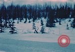 Image of dog sled Alaska USA, 1954, second 23 stock footage video 65675034984