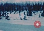 Image of dog sled Alaska USA, 1954, second 24 stock footage video 65675034984