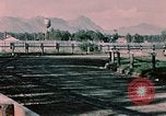 Standbild Pferderennen Palmer Alaska USA, 1953, aus Sekunde 52 historischem Filmmaterial Videoclip 65675034992