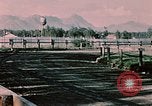 Standbild Pferderennen Palmer Alaska USA, 1953, aus Sekunde 61 historischem Filmmaterial Videoclip 65675034992