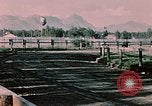 Standbild Pferderennen Palmer Alaska USA, 1953, aus Sekunde 62 historischem Filmmaterial Videoclip 65675034992