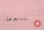 Immagine di pistola antiaerea in esposizione Palmer Alaska USA, 1953, secondo 1 filmato di repertorio 65675034999