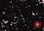 Immagine di pistola antiaerea in esposizione Palmer Alaska USA, 1953, secondo 24 filmato di repertorio 65675034999