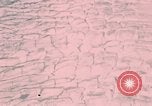 Image of Lake George Alaska USA, 1953, second 20 stock footage video 65675035011