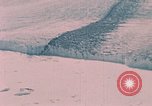 Image of ice caps Alaska USA, 1954, second 38 stock footage video 65675035019