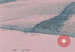 Image of ice caps Alaska USA, 1954, second 40 stock footage video 65675035019