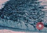 Standbild Ice Cap Alaska USA, 1954, aus Sekunde 11 historischem Filmmaterial Videoclip 65675035025