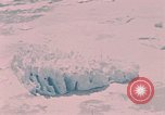Standbild Ice Cap Alaska USA, 1954, aus Sekunde 47 historischem Filmmaterial Videoclip 65675035025