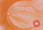 Image of fish Alaska USA, 1954, second 37 stock footage video 65675035040