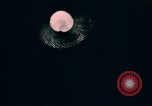 Image of fish Alaska USA, 1954, second 41 stock footage video 65675035040