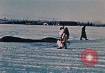 Image of Otter tracked vehicle in snow Alaska USA, 1954, second 40 stock footage video 65675035052