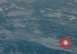 Image of F-80 aircraft Alaska USA, 1954, second 14 stock footage video 65675035054
