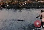 Immagine di Gioco operaio Kodiak Alaska USA, 1953, secondo 33 filmato di repertorio 65675035058