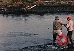 Immagine di Gioco operaio Kodiak Alaska USA, 1953, secondo 34 filmato di repertorio 65675035058