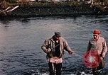 Immagine di Gioco operaio Kodiak Alaska USA, 1953, secondo 40 filmato di repertorio 65675035058