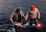 Immagine di Gioco operaio Kodiak Alaska USA, 1953, secondo 43 filmato di repertorio 65675035058
