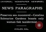 Image femme poisson taxidermiste Avalon California USA, 1930, de la seconde 3 séquences d'archives historiques vidéo 65675035089