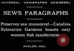 Image femme poisson taxidermiste Avalon California USA, 1930, de la seconde 4 séquences d'archives historiques vidéo 65675035089