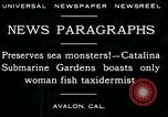 Image femme poisson taxidermiste Avalon California USA, 1930, de la seconde 5 séquences d'archives historiques vidéo 65675035089