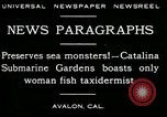 Image femme poisson taxidermiste Avalon California USA, 1930, de la seconde 7 séquences d'archives historiques vidéo 65675035089