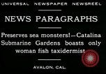 Image femme poisson taxidermiste Avalon California USA, 1930, de la seconde 9 séquences d'archives historiques vidéo 65675035089