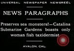 Image femme poisson taxidermiste Avalon California USA, 1930, de la seconde 10 séquences d'archives historiques vidéo 65675035089