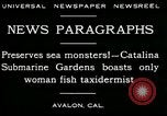 Image femme poisson taxidermiste Avalon California USA, 1930, de la seconde 12 séquences d'archives historiques vidéo 65675035089
