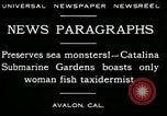 Image femme poisson taxidermiste Avalon California USA, 1930, de la seconde 13 séquences d'archives historiques vidéo 65675035089