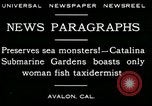 Image femme poisson taxidermiste Avalon California USA, 1930, de la seconde 14 séquences d'archives historiques vidéo 65675035089