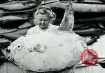 Image femme poisson taxidermiste Avalon California USA, 1930, de la seconde 35 séquences d'archives historiques vidéo 65675035089