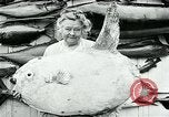 Image femme poisson taxidermiste Avalon California USA, 1930, de la seconde 36 séquences d'archives historiques vidéo 65675035089