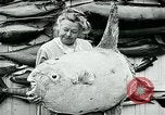 Image femme poisson taxidermiste Avalon California USA, 1930, de la seconde 38 séquences d'archives historiques vidéo 65675035089