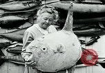 Image femme poisson taxidermiste Avalon California USA, 1930, de la seconde 40 séquences d'archives historiques vidéo 65675035089