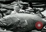 Image femme poisson taxidermiste Avalon California USA, 1930, de la seconde 41 séquences d'archives historiques vidéo 65675035089