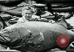 Image femme poisson taxidermiste Avalon California USA, 1930, de la seconde 42 séquences d'archives historiques vidéo 65675035089