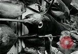 Image femme poisson taxidermiste Avalon California USA, 1930, de la seconde 57 séquences d'archives historiques vidéo 65675035089