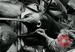 Image femme poisson taxidermiste Avalon California USA, 1930, de la seconde 58 séquences d'archives historiques vidéo 65675035089