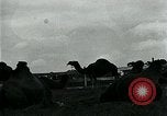 Immagine di circo atti e animali Sarasota Florida USA, 1930, secondo 40 filmato di repertorio 65675035093