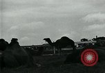 Immagine di circo atti e animali Sarasota Florida USA, 1930, secondo 41 filmato di repertorio 65675035093