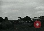 Immagine di circo atti e animali Sarasota Florida USA, 1930, secondo 42 filmato di repertorio 65675035093