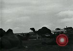 Immagine di circo atti e animali Sarasota Florida USA, 1930, secondo 43 filmato di repertorio 65675035093