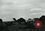 Immagine di circo atti e animali Sarasota Florida USA, 1930, secondo 44 filmato di repertorio 65675035093