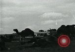 Immagine di circo atti e animali Sarasota Florida USA, 1930, secondo 45 filmato di repertorio 65675035093