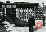 Immagine di circo atti e animali Sarasota Florida USA, 1930, secondo 49 filmato di repertorio 65675035093