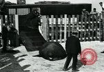 Immagine di circo atti e animali Sarasota Florida USA, 1930, secondo 53 filmato di repertorio 65675035093