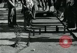 Standbild Miniatur Golfplatz Oakland California USA, 1930, aus Sekunde 47 historischem Filmmaterial Videoclip 65675035099