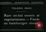Standbild fleischfressende Cobra Lilien Toledo Ohio USA, 1930, aus Sekunde 4 historischem Filmmaterial Videoclip 65675035101