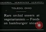 Standbild fleischfressende Cobra Lilien Toledo Ohio USA, 1930, aus Sekunde 5 historischem Filmmaterial Videoclip 65675035101