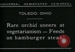 Standbild fleischfressende Cobra Lilien Toledo Ohio USA, 1930, aus Sekunde 8 historischem Filmmaterial Videoclip 65675035101